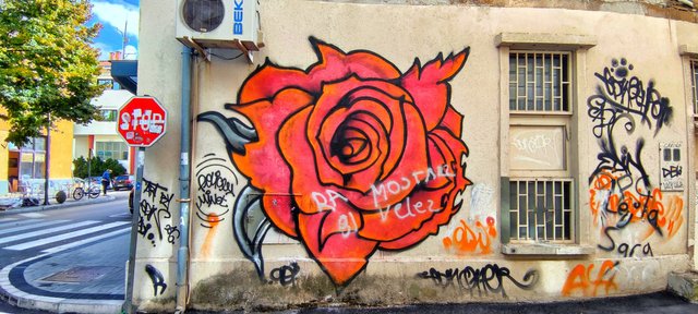 A red rose on a ruined wall