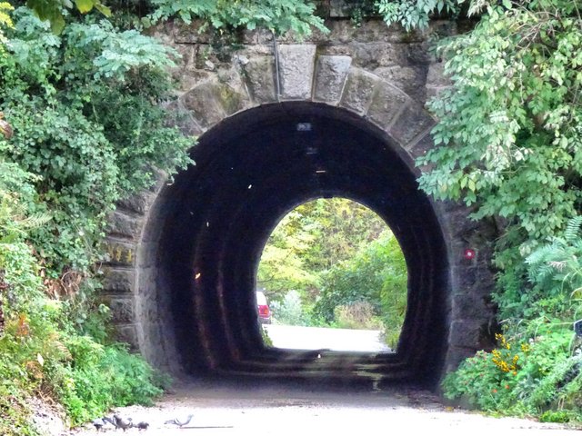 The old tunnel
