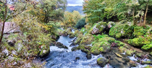 Blue water, green nature