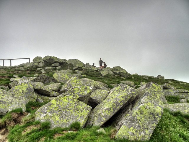 More stones and more moss