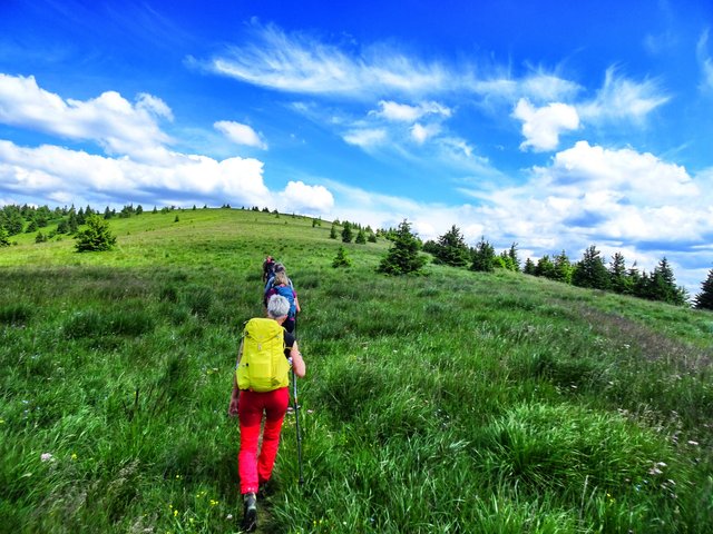 The way near the summit