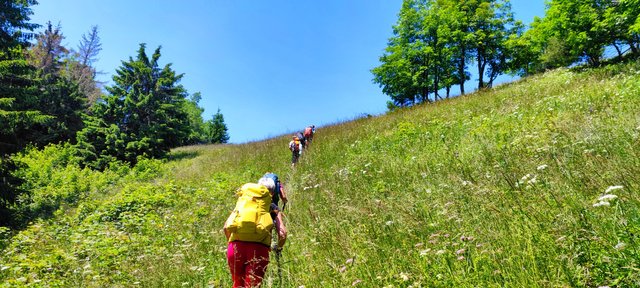 A meadows like the playground of god