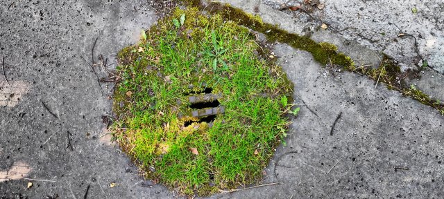 The sewer ceiling: The grass is always greener on the upside
