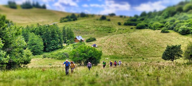 A group on Marko Weiss’ own meadow