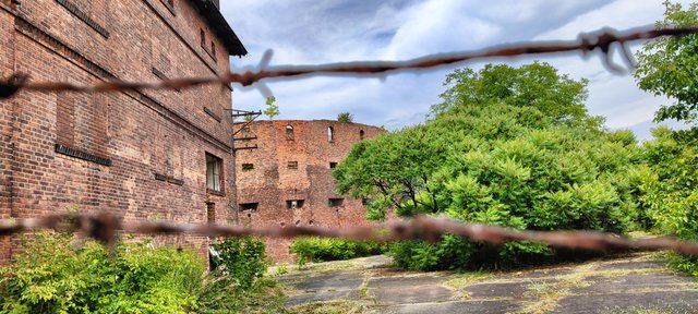 Remains of Barbered Wire