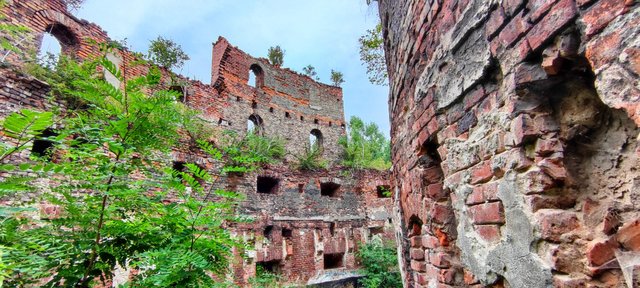 Ruins reclaimed by nature