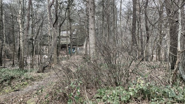 A witches house in the woods