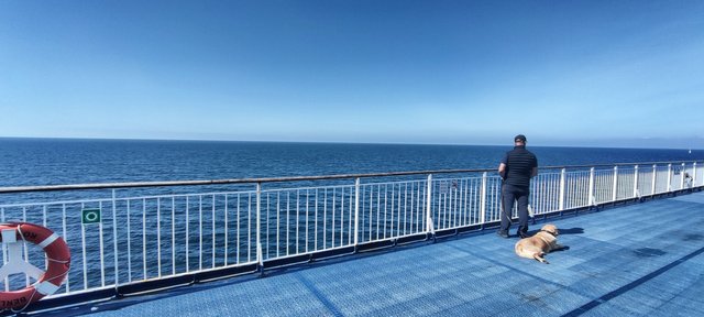 Lonely man with dog on the ferry