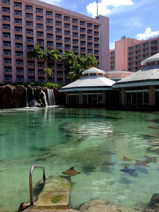 Bahamas, Nassau, Hotel "The Royal at Atlantis"