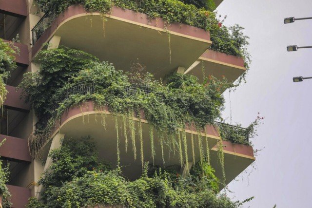 Qiyi City Forest Garden in Chengdu