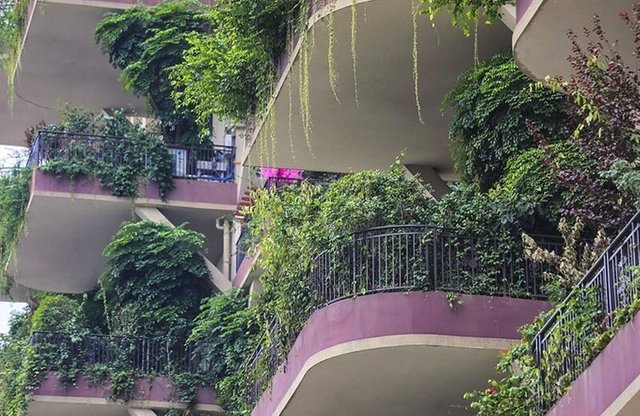 Qiyi City Forest Garden in Chengdu