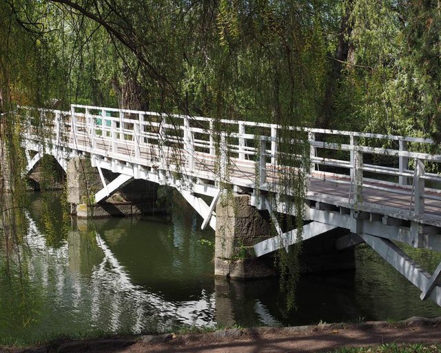 Wooden bridge