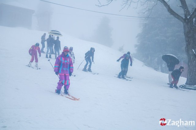 Skiing a Winter Sport