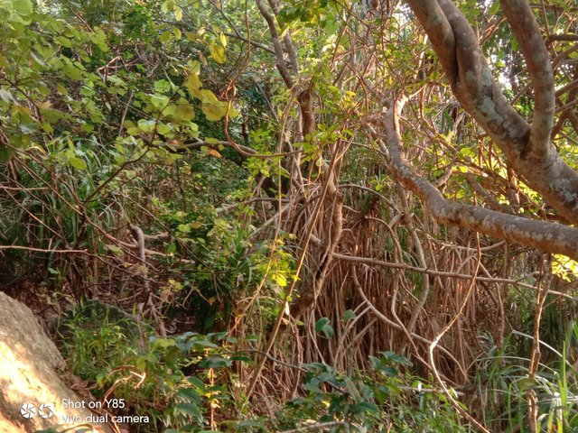 A short trip to Suduwella at Rumassala mountain, Unawatuna in Sri Lanka.