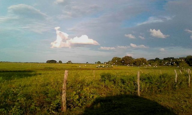 Paisaje en los alrededores