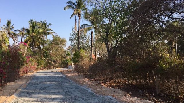 Image taken from World Orgs. The Rock Garden Path begins with a sweet green vibrancy which later evolves to a more wild atmosphere