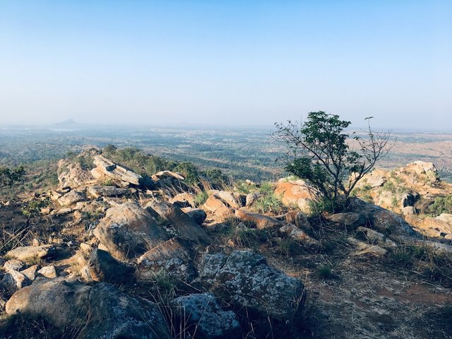 Image taken from World Orgs. View spot behind Rock Garden to check out this landscape scenery below