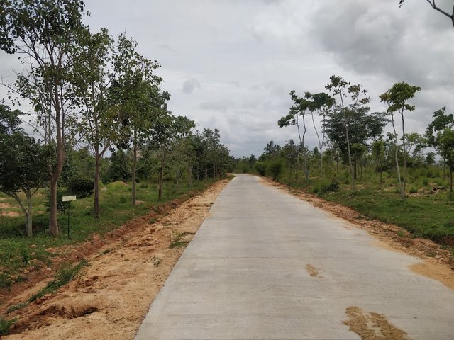 Image Source. Solitary vibes about the Danushkoti Road path especially when it’s nearing dusk