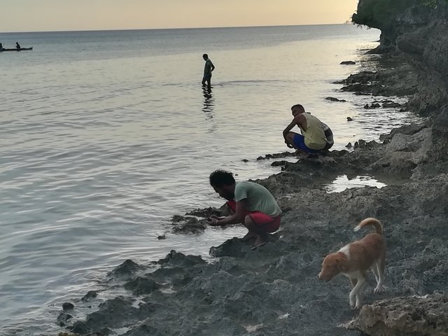 rocks near the shore