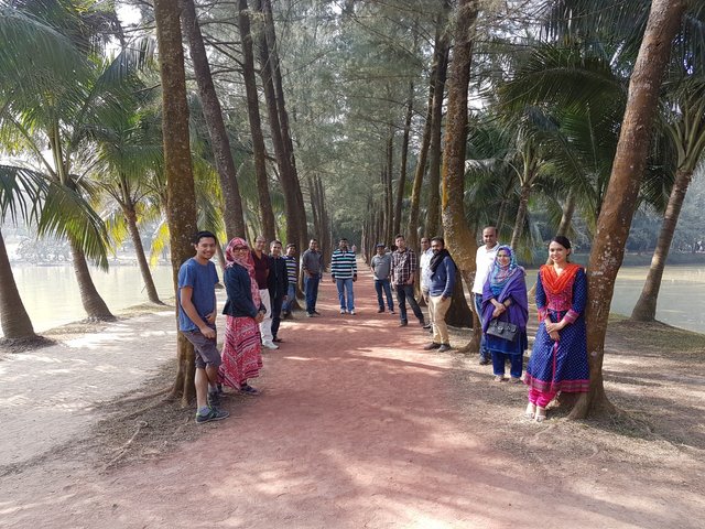 A road with trees between two lake!