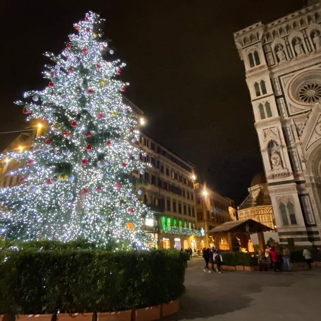 The dome square was too magical with more than one Christmas tree, really a wonderful view for every one .