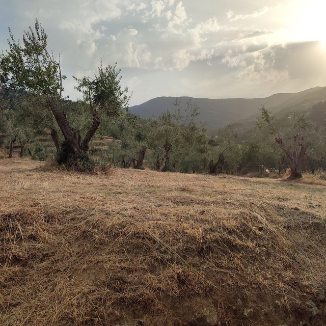 The fields are really charming and relaxing especially in the first light of the day, this place have a lot of olive trees and it’s famous for the oil. All the village it’s surrounded by hills and many people work in the fields or in some farms, it’s a rural place with few cars and a great fresh air.