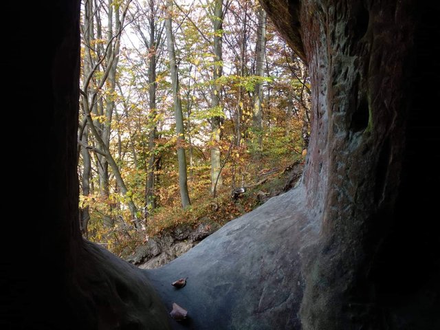 The door from the cave, where the view from above on the autumn forest