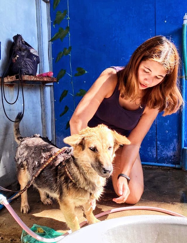 This picture sums me up pretty well. The two things I love - Caring for animals and travelling. (This picture was taken in Laos in case you were wondering) 