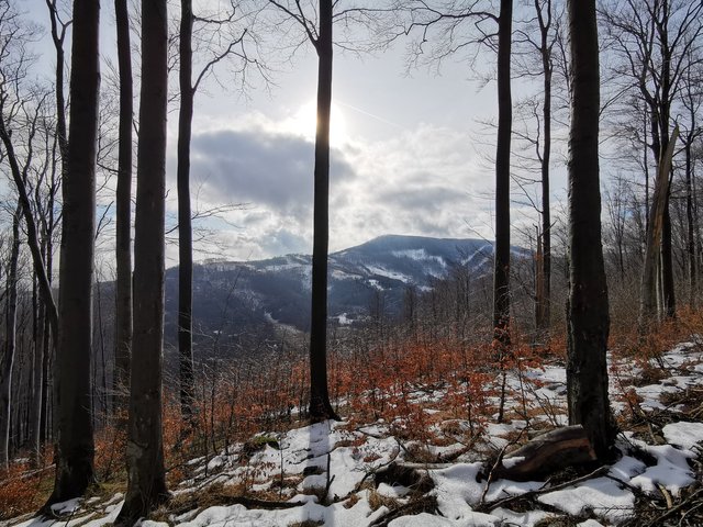 Hike #2: An Unexpected Beer Journey aka BeerDiary #4 (Czechia)