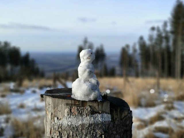 Little snowman.