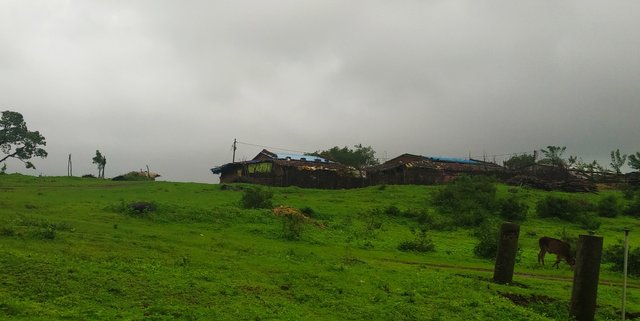 Villagers who are living near this place.