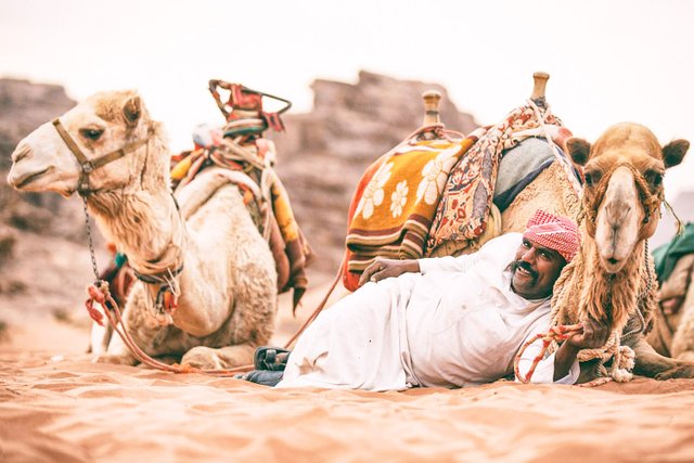 Shaban and his camels