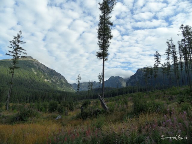 Road to Popradske lake