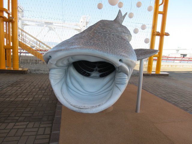 Symbolem 8-piętrowego oceanarium w Osace jest rekin wielorybi. Majestatyczne zwierze, największa ryba na świecie. Jego podobizna znajduje się na budynku oceanarium. To rekin, który nie jest niebezpieczny dla ludzi. Przed wejściem do oceanarium można zrobić zdjęcie w jego paszczy. Widziałam sporo osób pozujących w zabawnych pozach. Jeden facet nachylił się tak, że było go widać tylko do połowy, a jego znajomy udawał, że daje mu kopniaka i tym samym pomaga rekinowi w zdobyciu pożywienia ;)
