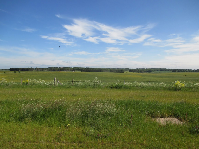 Burrows were used as burial sites.