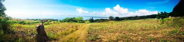 This panoramic picture describes the view in the fields; we were lucky to be there after the sugarcane harvest and the view is absolutely STUNNING!!!!!!