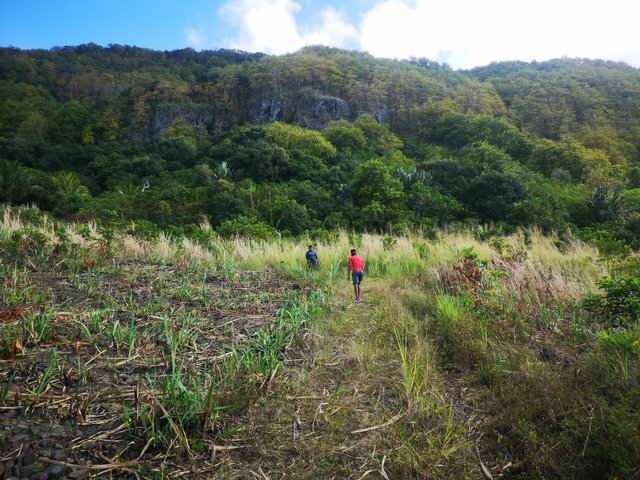 This is an example of the road which leads us straight to the mountain. Getting closer to it means that the path also gets steeper and steeper.