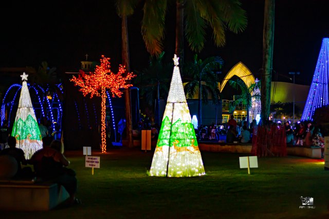 Electric Winter Wonderland, Hagatna, Guam USA 2021