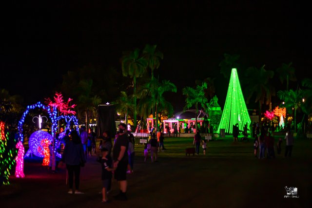 Electric Winter Wonderland, Hagatna, Guam USA 2021