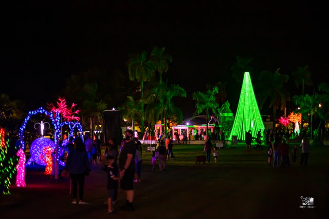 Electric Winter Wonderland, Hagatna, Guam USA 2021