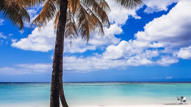 Looking out at Tumon Bay from the Beach House Grill