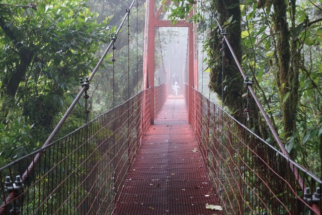 Costa Rica - Days 3-6 - San Jose to Monteverde Cloud Forest