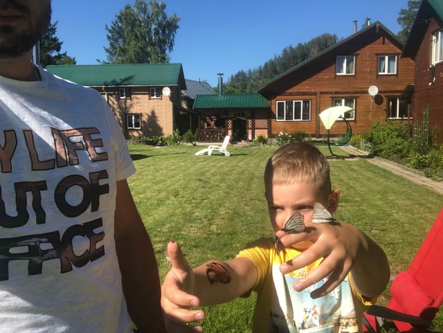 Son rejoices in butterflies that have arrived