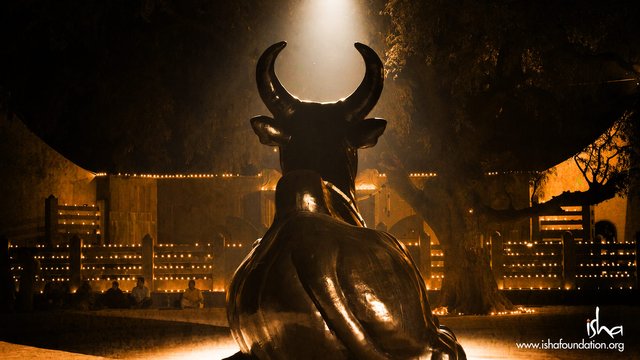 Nandi outside the Dhyana-linga ( Image used with permission)