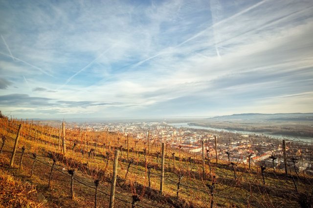 A circular hike above Krems