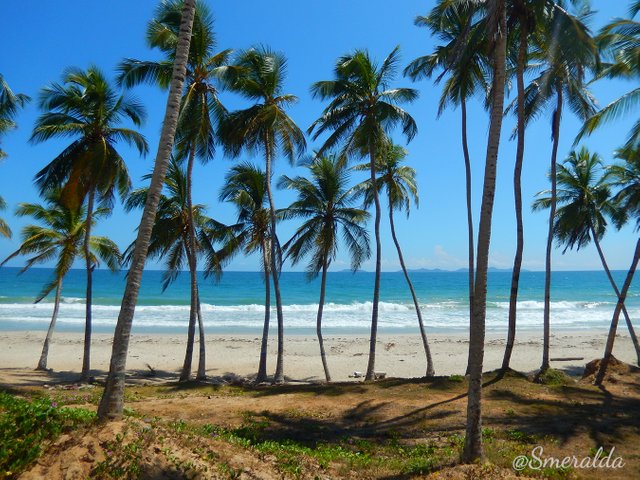 Playa El Agua