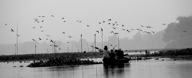 When i was in a boat for birds