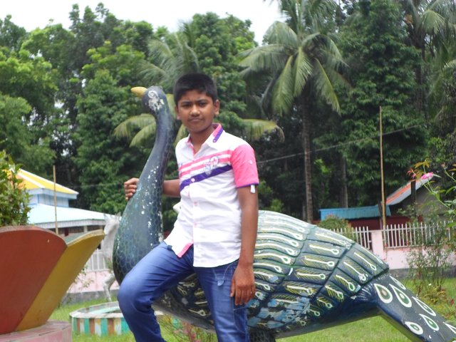 BROTHER WITH PEACOCK