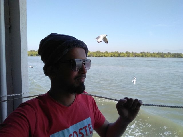 Bird’s and me..