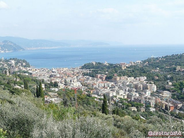 Santa Margherita Ligure panoramic view from San Lorenzo.